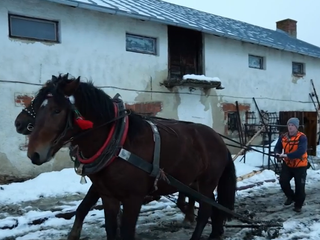 Kuriózna odťahovka: Na Spiši záprah koní zachránil uviaznutý kamión