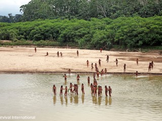 Tichá genocída kmeňov v Amazónii. Ničí ich ťažba a aj influenceri