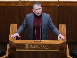 Mikulec: Na Prezídiu PZ má vzniknúť busta Lučanského. „Zdá sa mi to veľmi nevhodné.“