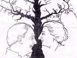 Táto optická ilúzia vám zamotá hlavu: Dokážete nájsť všetky tváre ukryté v strome?