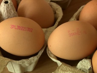 Kontrola vajec. Odberatelia nevedeli o nevyhovujúcom výrobku