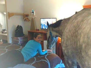 Žena skúsila v hoteli ubytovať svojho koňa, uspela