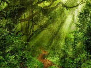 TENTO kmeň sa ešte nikdy nestretol s civilizáciou: Neuveríte, ako dnes žije