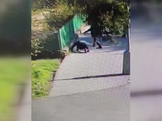 Brutálny útok na dôchodcu: Kopance do hlavy pre pár eur