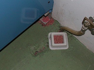 Potkany v Lučenci. Na stavbe sú ich stovky