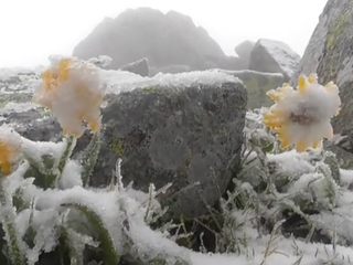 Snežilo, mrzlo a fúkalo. Na čo sa majú pripraviť turisti v Tatrách?