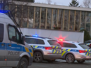 Polícia obvinila mladého muža z vraždy dvojročného syna. Hrozí mu výnimočný trest