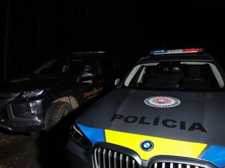 V Demänovskej Doline naháňal medveď dve osoby, žena neprežila