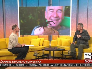 Ranné noviny na JOJke v znamení Vianoc:  koledy naživo, vianočné zvyky aj tváre tohtoročného Silvestra