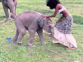 VIDEO: Modelka ukázala celý zadok po tom, čo jej slon stiahol sukňu