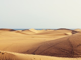 Sexuálna kríza na Kanárskych ostrovoch: Všade na plážach sa váľajú milenci!