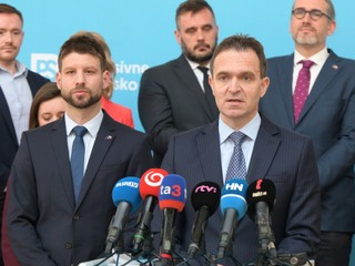 Progresívne Slovensko prichádza s niečím veľkým. Plán predstaví už o pár týždňov
