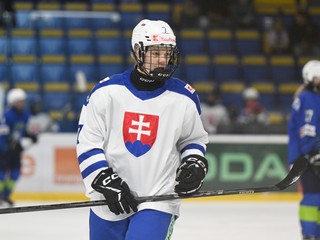 Hokejový zázrak na ľade má 18. Nela LOPUŠANOVÁ, všetko najlepšie!