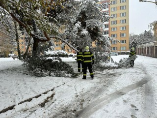 Sneh, nehody, kolóny i bežkár. Slováci si zvykajú na nové problémy