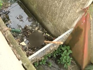 Pátrali po ňom štyri roky, kosti našli pri čistení dažďového žľabu