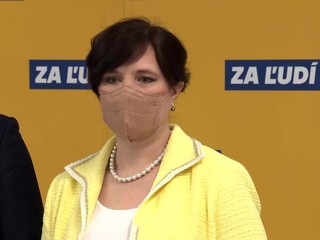 Podľa Remišovej situácia v strane Za ľudí stagnuje. Napriek tomu predložili návrh k daňovo-odvodovej reforme
