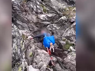 Turista sa vybral do hôr so psom v nákupnej taške. TANAP chystá obmedzenia pre psíčkarov