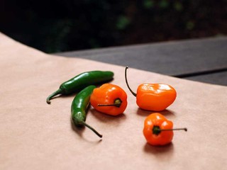 Aj oči by jedli: TÝCHTO 10 potravín je výborných pre váš zrak