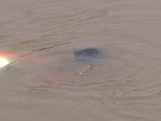 Mladík z Ukrajiny bol nájdený v aute, ktoré našli až potápači v rieke