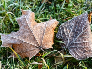 Na Slovensko fúka arktický vzduch. Babiemu letu môžeme zamávať