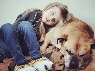 Nový pes v rodine: Tieto povely ho vedia naučiť aj deti