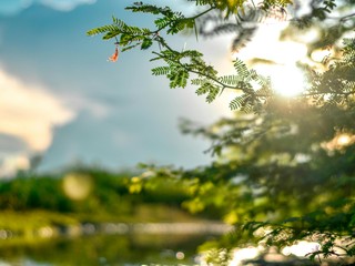 Piatok trinásteho prinesie až 18°C