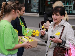 Deň narcisov prvýkrát vo štvrtok. Prispejte na pomoc
