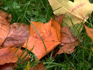 Babie leto je tu. Počasie by mohlo priať poľnohospodárom