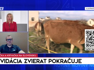 Štúdio 24: Likvidácia zvierat pokračuje
