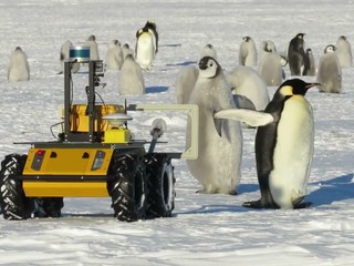 O tučniaky na Antarktíde sa stará robot Husky