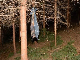 Páchateľ utýraného psa spálil a zavesil na strom