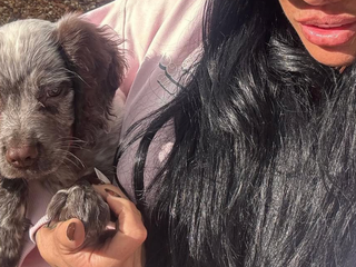 Domáci miláčikovia jej miznú alebo zomierajú! A teraz sa hviezdna kráska chce zbaviť ďalšich!