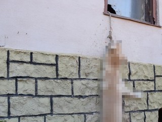 Prípad obeseného psíka: Obyvatelia tvrdia, že majiteľ ho mal rád, polícia hľadá vinníka