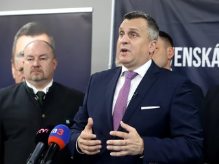 SNS čelí petícii kvôli jej sporným nominantom. Rezonuje aj Kaliňák s Gašparom