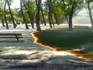 Plameň za pár sekúnd prebehol celým parkom: Neuhádnete, čo bolo príčinou