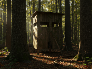 Smrť počas spoločnej poľovačky: 70-ročný muž neprežil zásah do hlavy