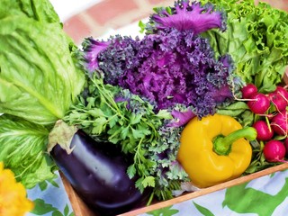 Američan, ktorý umiera na rakovinu, vyhral súd nad výrobcom postrekov