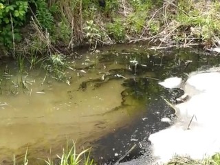 Neznáma látka v potoku: V minulosti spôsobil tento tok veľké škody