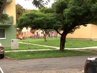 Polícia preveruje prípad znásilnenia iba 8-ročného dievčatka. Podozrivým je 13-ročný bratranec