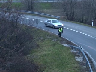 VIDEO: Policajti naháňali pri Piešťanoch kozy