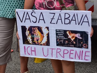 Sloboda zvierat chce, aby divožijúce zvieratá nesmeli vystupovať v cirkusoch