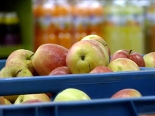 Budeme mať v Európskej únii dostatok obilia?