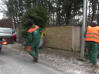 Tretie najväčšie slovenské mesto začalo so zberom vianočných stromčekov