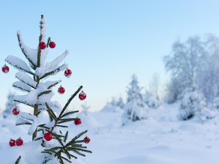 Darčeky na jednom mieste. V Inchebe sa začali Dni Vianoc