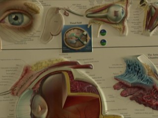 5 tipov ako si udržať zdravé oči : Dôležitá je aj strava a správne okuliare