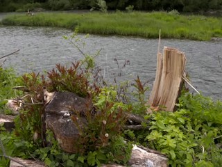 Muž chcel skultúrniť krajinu. Teraz mu hrozí trest