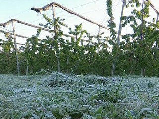 Výstraha SHMÚ. Na celom Slovensku sa pripravte na prízemné mrazy