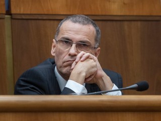 Je paragraf 363 v súlade s Ústavou? Súd avizoval dátum rozhodnutia