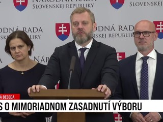 Tlačová beseda SaS o mimoriadnom zasadnutí výboru