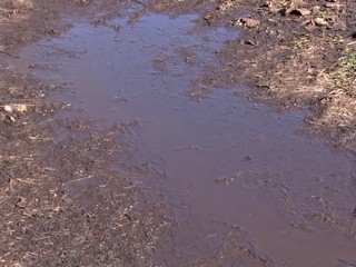 Lúku pod oknami bytoviek niekto zalial smradľavou tekutinou